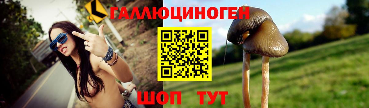 Псилоцибиновые грибы Cubensis  Вход с VPN  Знаменск  Галлюциногенные грибы мухоморы 